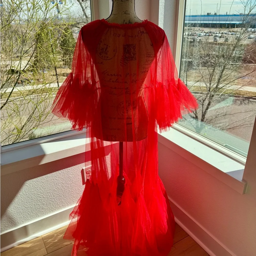 Red Sheer Tulle Gown with Dramatic Sleeves - Picture 4 of 6